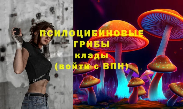 спиды Гусиноозёрск