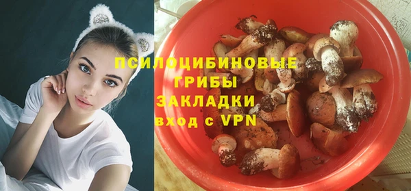 альфа пвп Гусь-Хрустальный