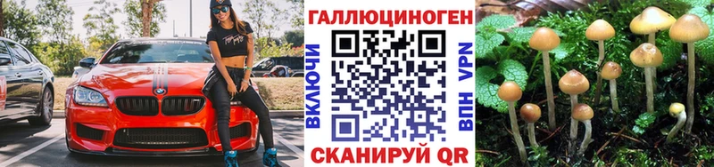 наркота маркетплейс наркотические препараты Псилоцибиновые грибы Magic Shrooms Омутнинск